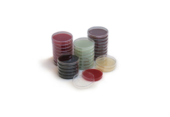 重庆一次性平皿