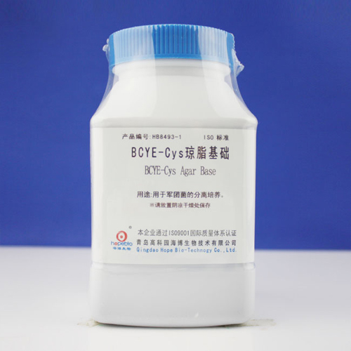 琼脂基础 琼脂基础