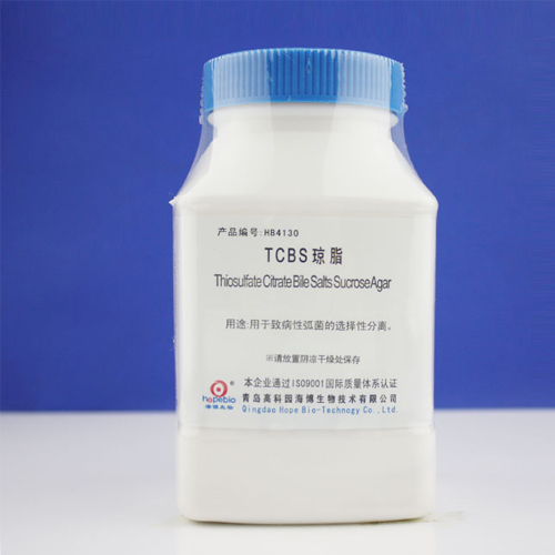 致病性弧菌检测