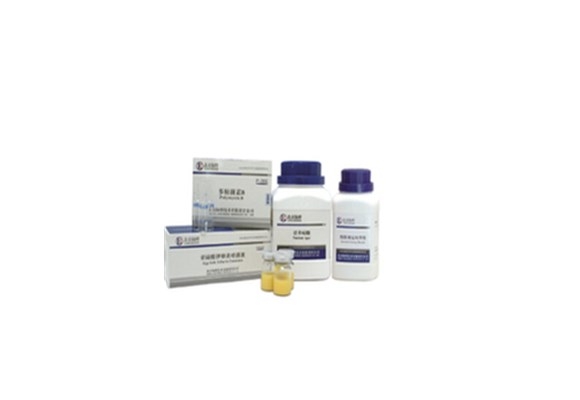 孟加拉红琼脂 CM164