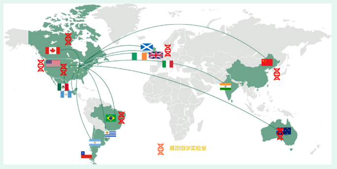 祝贺！纽勤全球第七个基因检测实验室正式落成并投入使用！